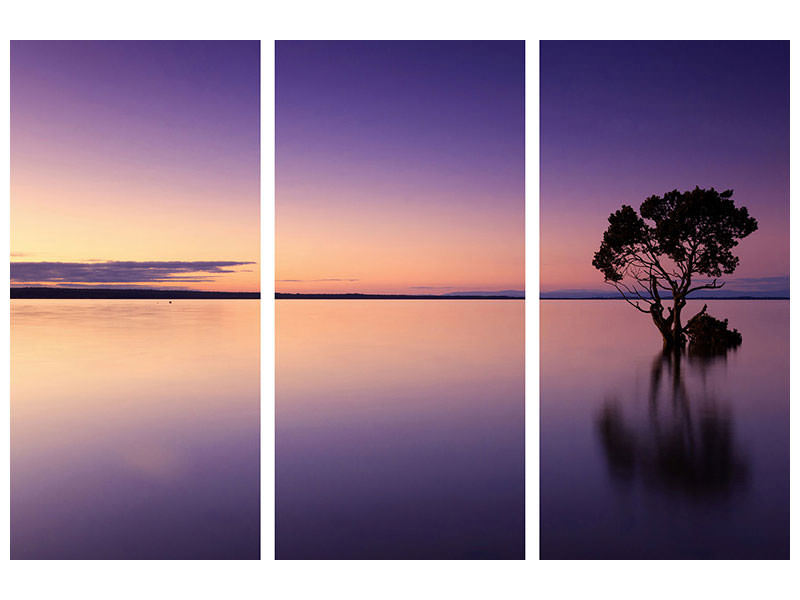 3-piece-canvas-print-sunset-on-the-tree-in-the-water