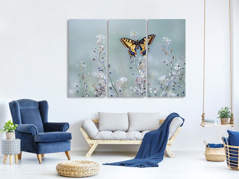 3-piece-canvas-print-swallowtail-beauty