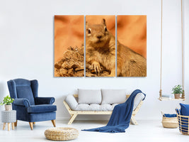 3-piece-canvas-print-sweet-squirrel