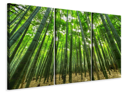 3-piece-canvas-print-the-bamboo-forest