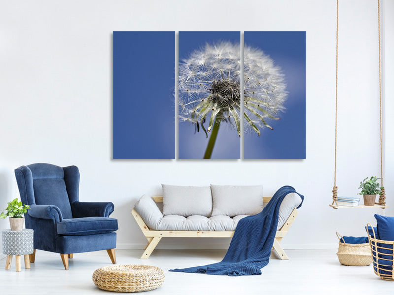 3-piece-canvas-print-the-dandelion-in-xxl