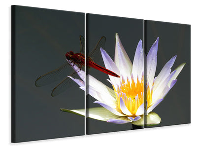 3-piece-canvas-print-the-dragonfly-on-the-flower