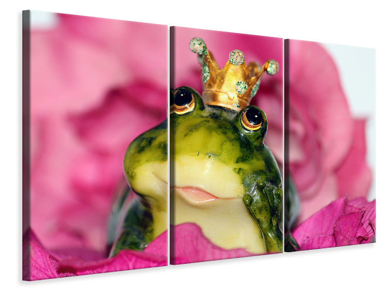 3-piece-canvas-print-the-frog-prince