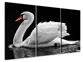 3-piece-canvas-print-the-graceful-swan