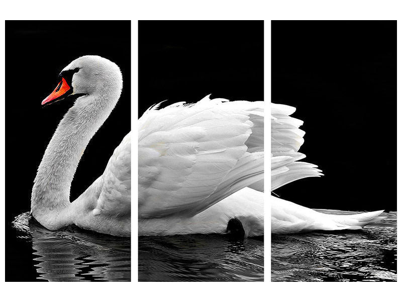 3-piece-canvas-print-the-graceful-swan