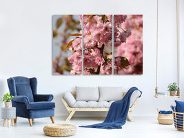 3-piece-canvas-print-the-ornamental-cherry