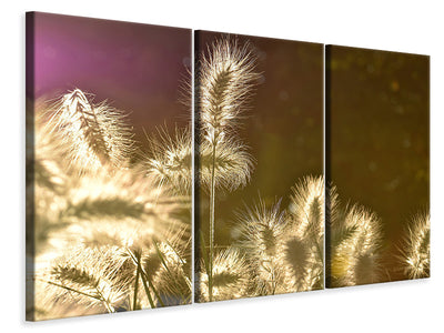 3-piece-canvas-print-the-ornamental-grass