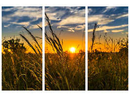 3-piece-canvas-print-the-sunset-on-the-field