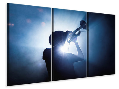 3-piece-canvas-print-trumpet-player