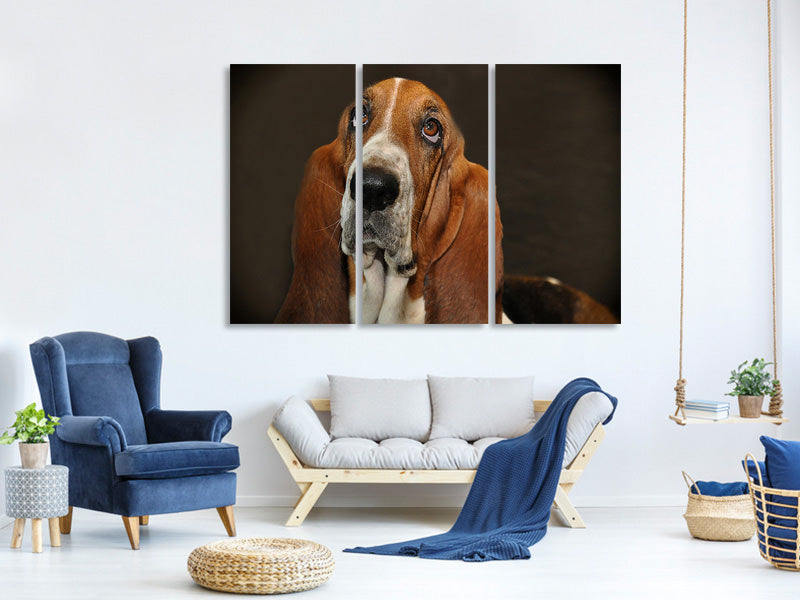 3-piece-canvas-print-typical-basset