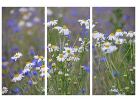 3-piece-canvas-print-wild-flower-meadow