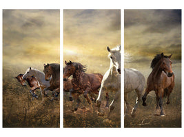 3-piece-canvas-print-wild-wild-horses