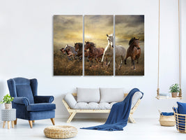 3-piece-canvas-print-wild-wild-horses