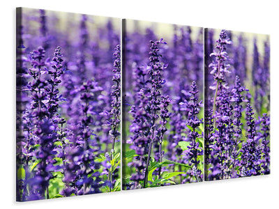 3-piece-canvas-print-xl-lavender