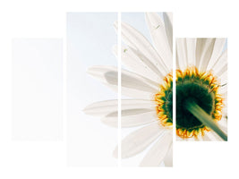 4-piece-canvas-print-a-daisy