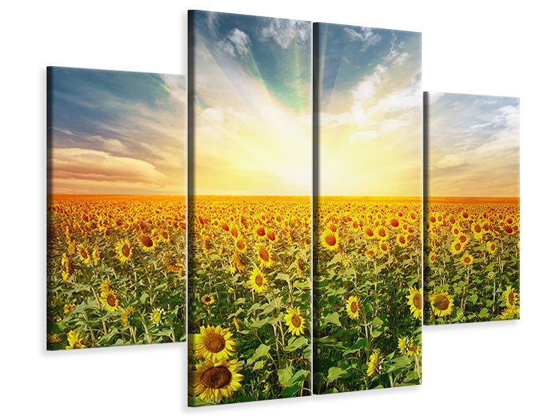 4-piece-canvas-print-a-field-full-of-sunflowers