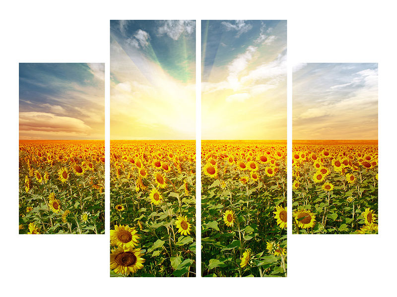 4-piece-canvas-print-a-field-full-of-sunflowers