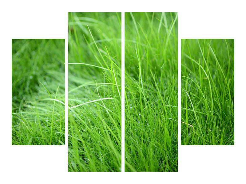 4-piece-canvas-print-blades-of-grass