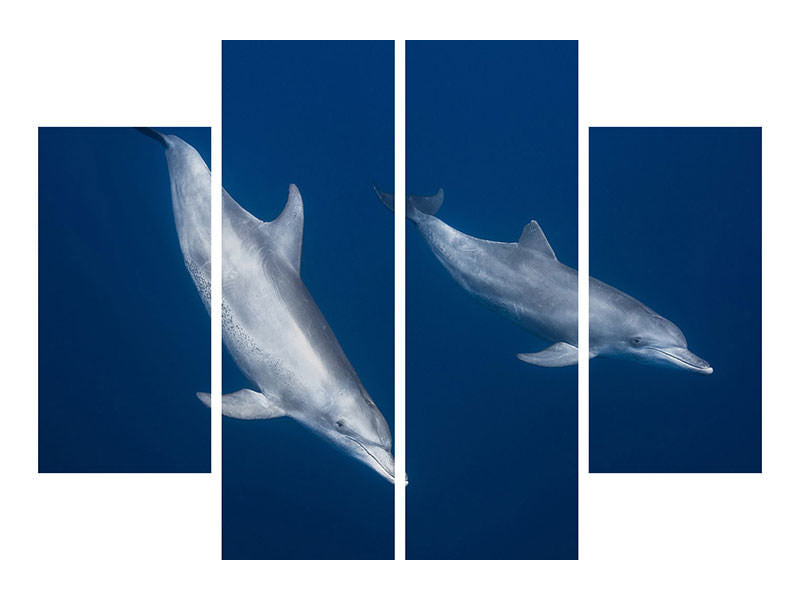 4-piece-canvas-print-bottlenose-dolphins