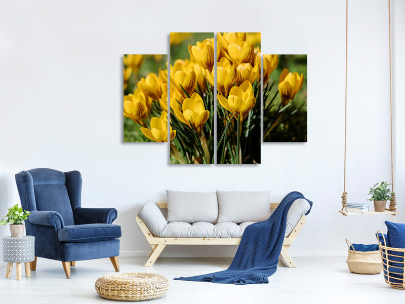 4-piece-canvas-print-crocuses-in-spring