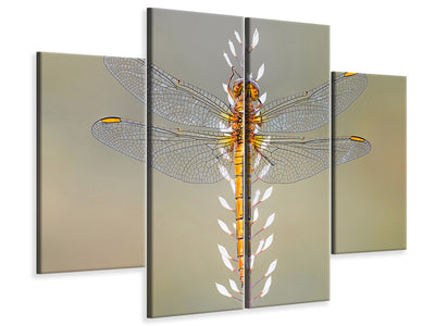 4-piece-canvas-print-dragonfly