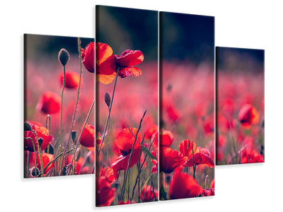 4-piece-canvas-print-in-the-poppy-field