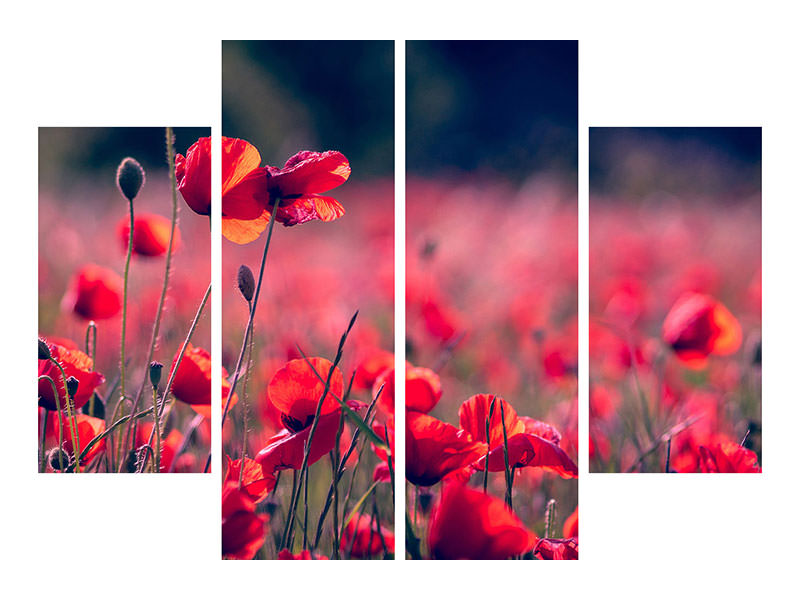 4-piece-canvas-print-in-the-poppy-field