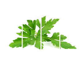 4-piece-canvas-print-leaves-of-parsley