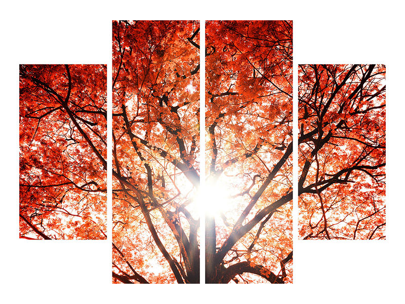 4-piece-canvas-print-light-of-autumn