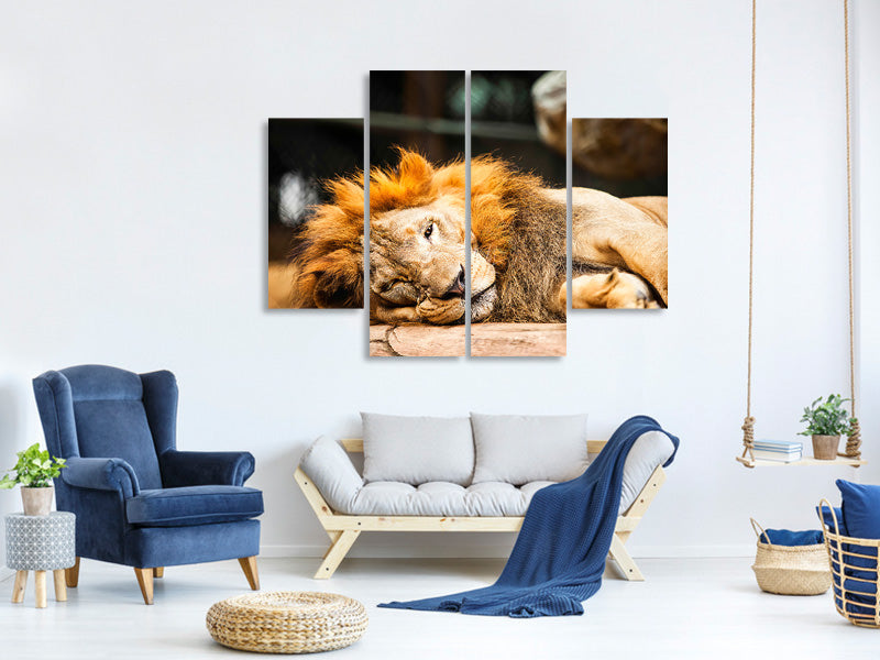 4-piece-canvas-print-relaxed-lion