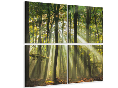 4-piece-canvas-print-sunny-start-to-the-day