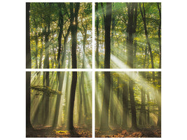 4-piece-canvas-print-sunny-start-to-the-day