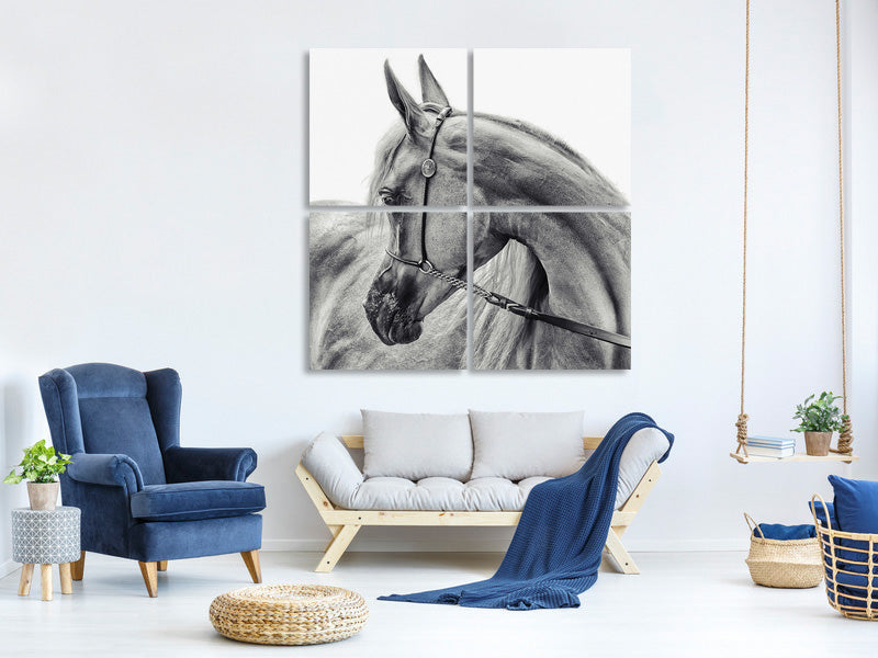 4-piece-canvas-print-the-arabian-horse