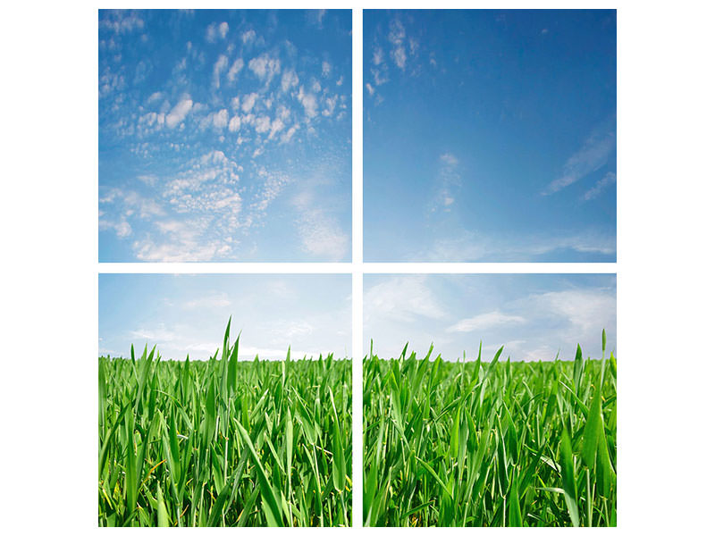 4-piece-canvas-print-the-grass