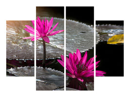 4-piece-canvas-print-water-lily-in-the-morning-dew