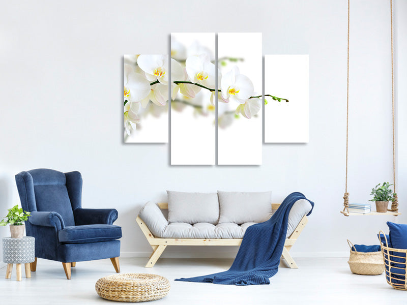 4-piece-canvas-print-white-orchids