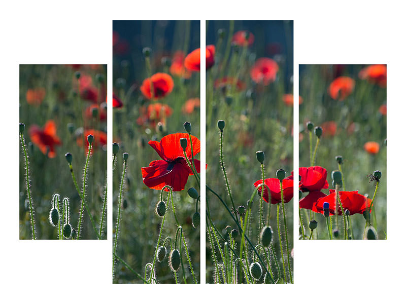 4-piece-canvas-print-wild-poppy