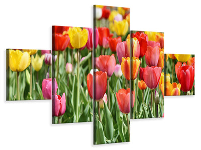 5-piece-canvas-print-a-colorful-tulip-field