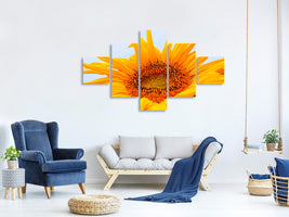 5-piece-canvas-print-big-sunflower