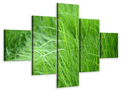 5-piece-canvas-print-blades-of-grass