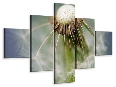 5-piece-canvas-print-dandelion-close-up