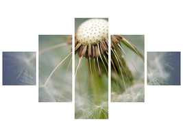 5-piece-canvas-print-dandelion-close-up