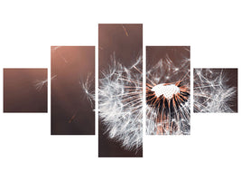 5-piece-canvas-print-dandelion-in-the-evening-light