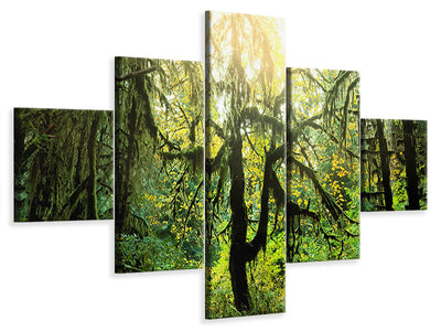 5-piece-canvas-print-dreamy-forest