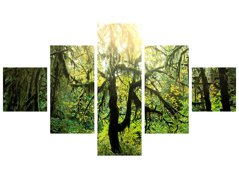 5-piece-canvas-print-dreamy-forest