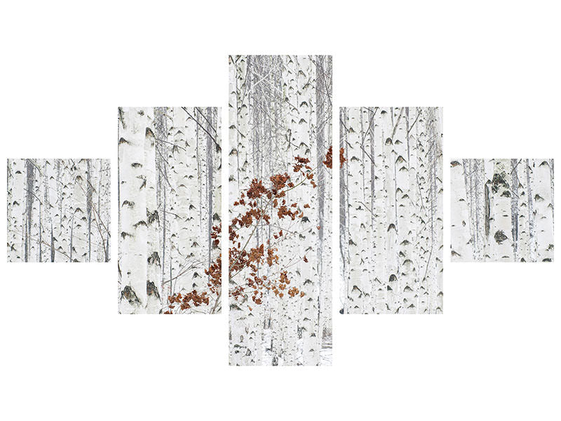 5-piece-canvas-print-from-white