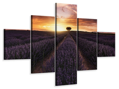 5-piece-canvas-print-lavender-sunset