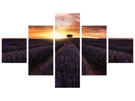 5-piece-canvas-print-lavender-sunset