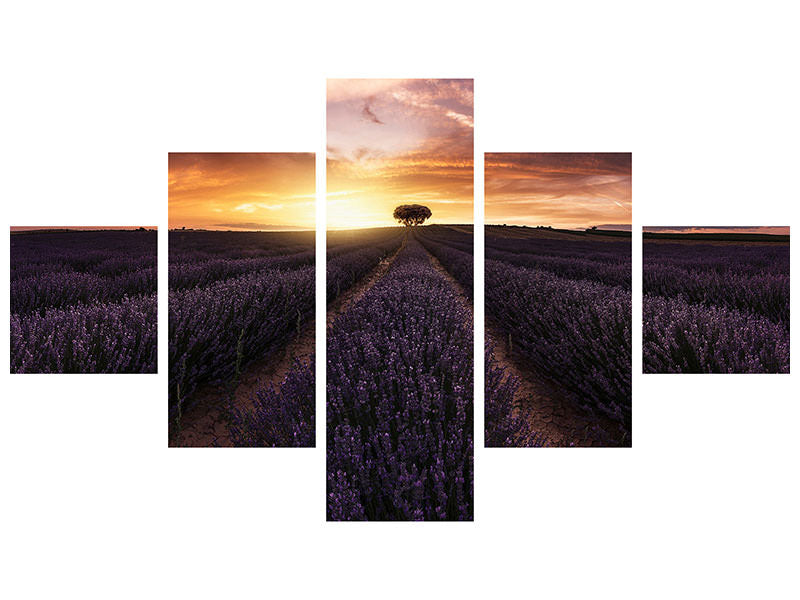 5-piece-canvas-print-lavender-sunset
