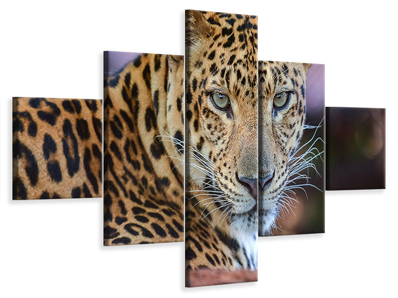 5-piece-canvas-print-leopard